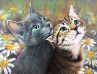 I've Got Your Back